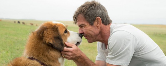 A Dog's Purpose