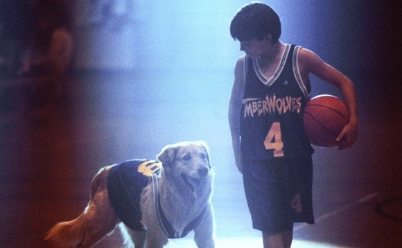 Air Bud