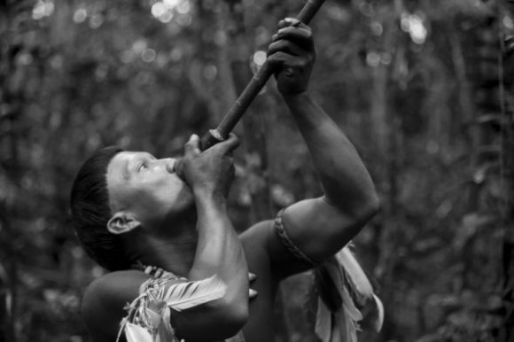 Embrace of the Serpent_En salle