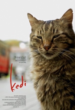 Kedi_Affiche