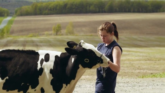 Le plancher des vaches