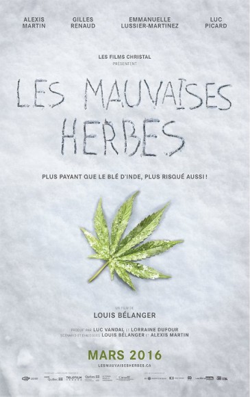 Les mauvaises herbes_Affiche