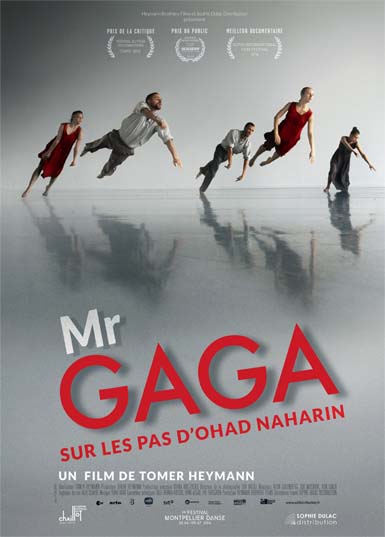 Mr. Gaga_Affiche