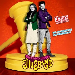 Second Hand Husband