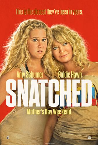 Snatched_Affiche