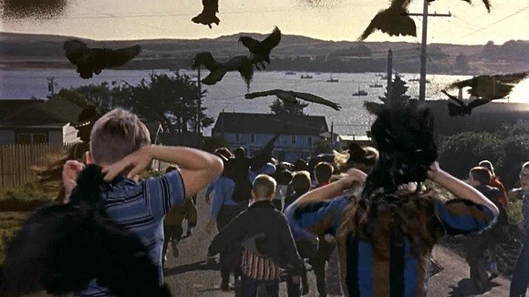 the-birds